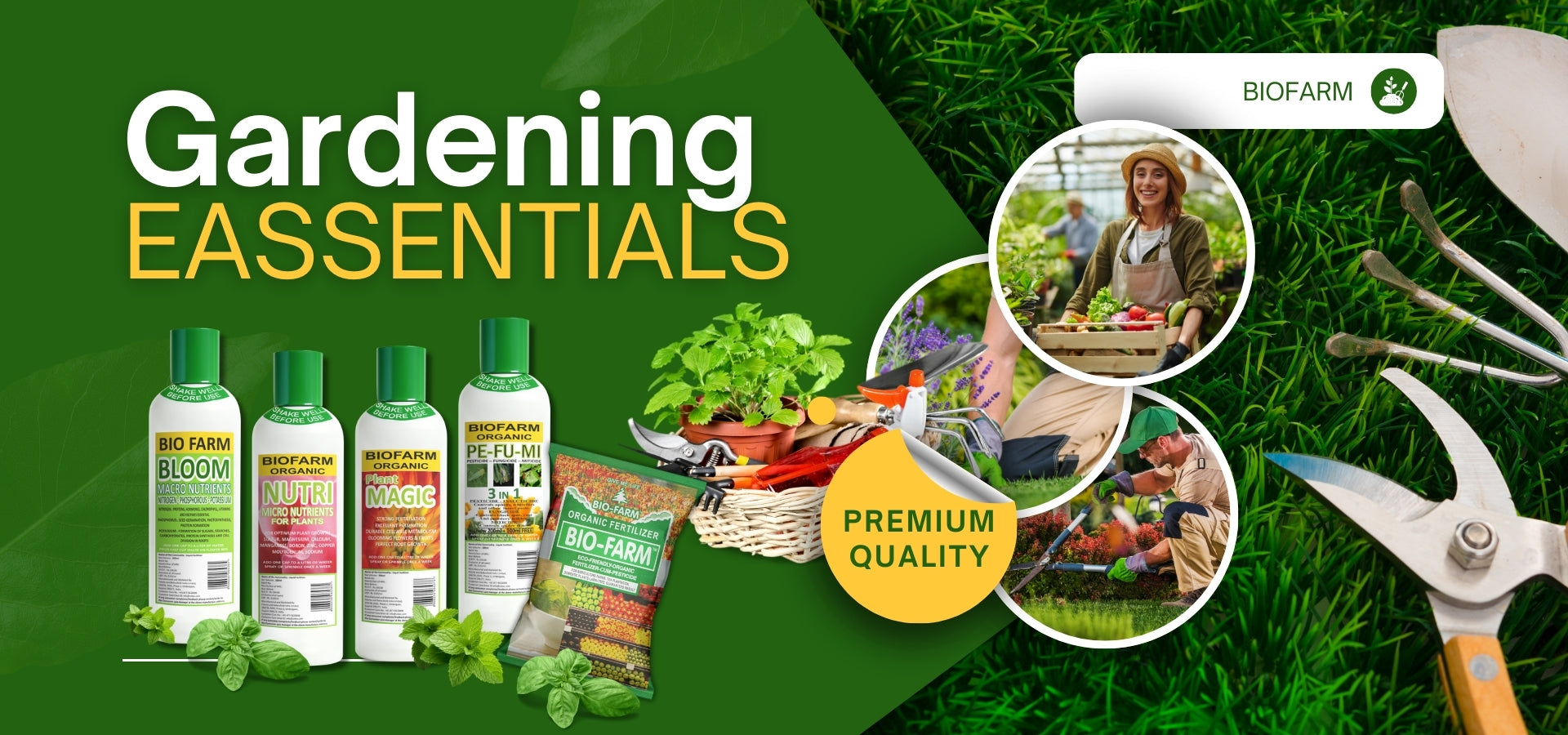 Fresno and Bakersfield