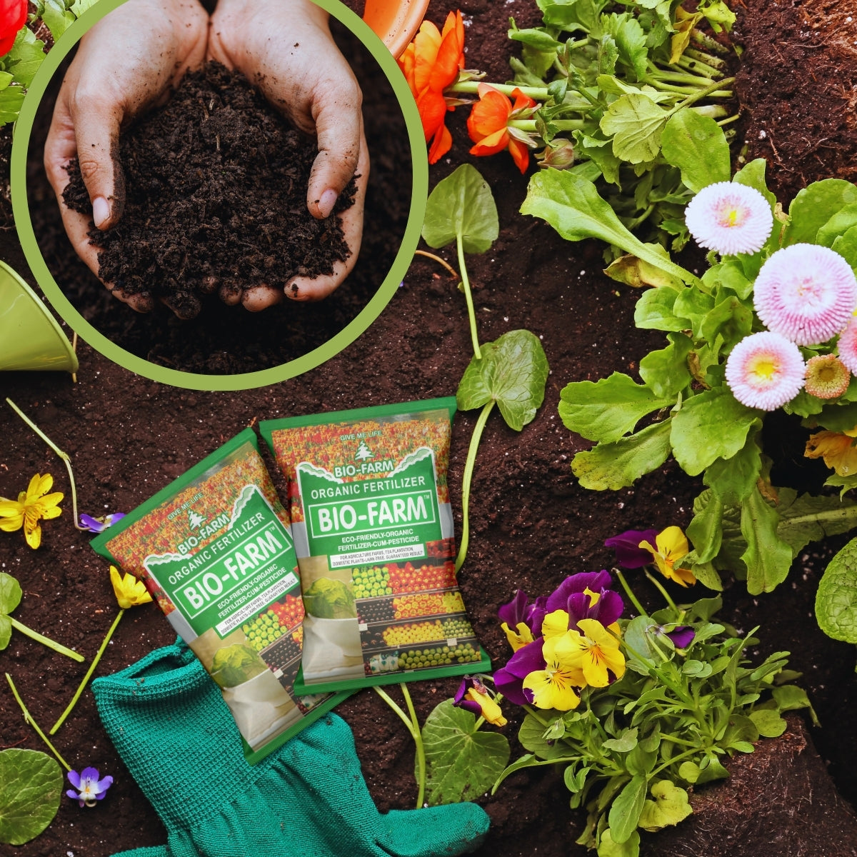 BioFarm Organic Fertilizer