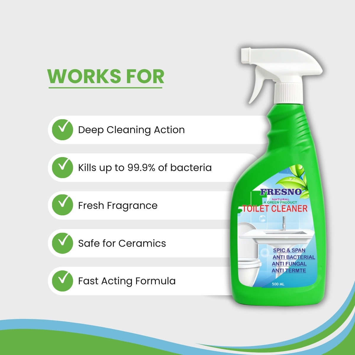 Fresno Toilet Cleaner