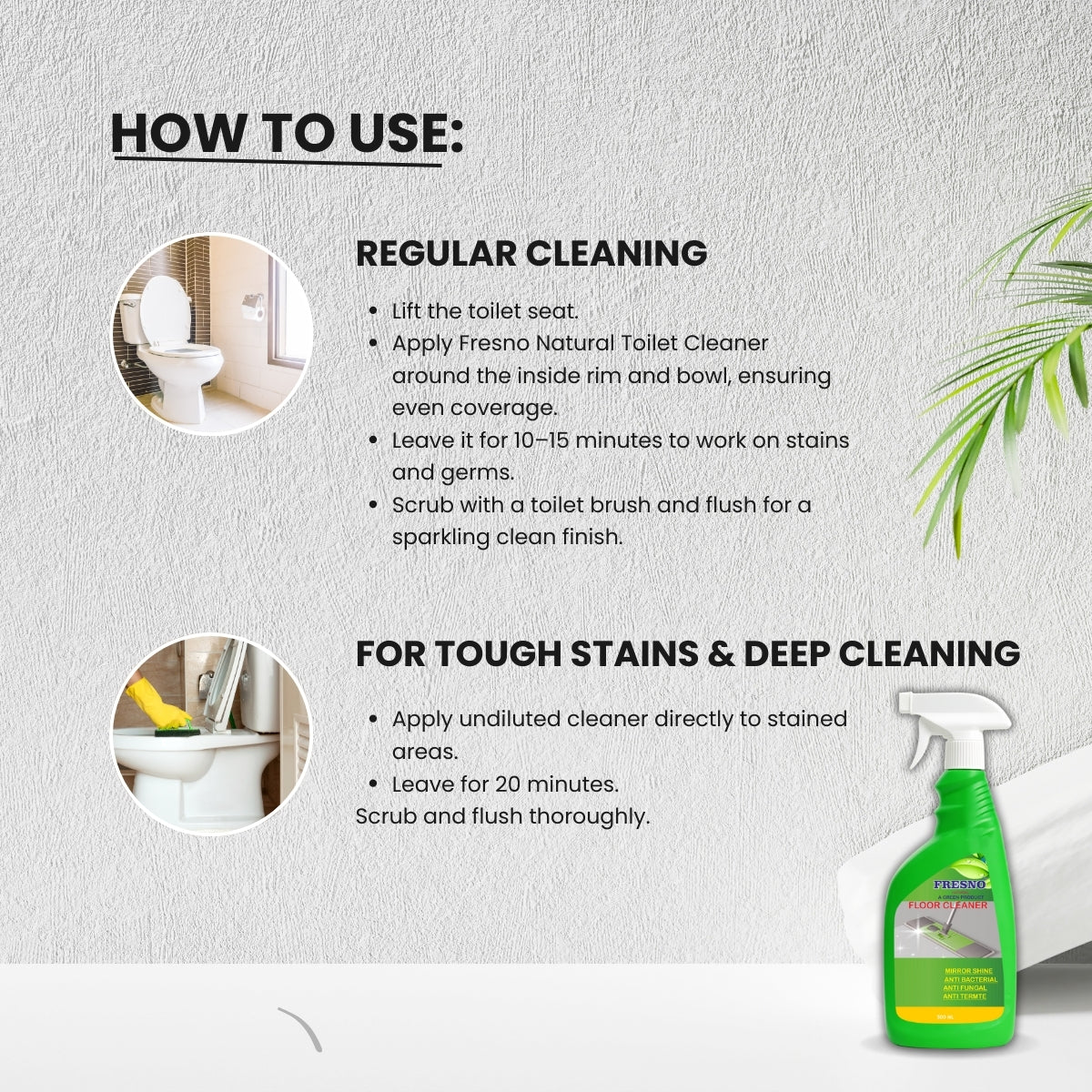 Fresno Toilet Cleaner